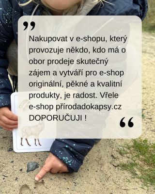 Mít e-shop v dnešní době není nic jednoduchého. Jako malý podnikatel nemám tým odborníků na všechno. Přitom se toho musí...