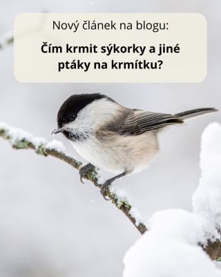 🌿 Věděl/a jsi že Příroda do kapsy má vlastní blog, který si každý den přečte až 1000 lidí? 💚 Před víkendem pro tebe mám...