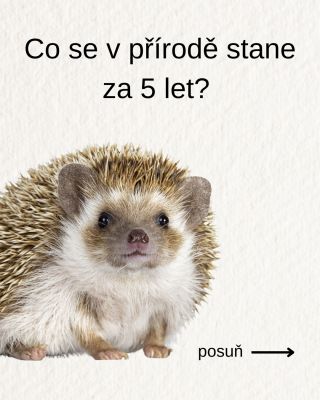 Přírody do kapsy slaví 5 let a mě napadlo, co všechno se za takovou dobu dokáže změnit – nejen u mě, ale i v přírodě 🌿 Za...